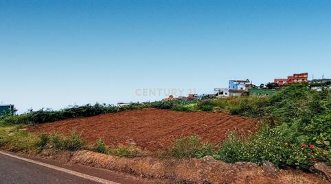 Photo 3 of Land for sale in Los Realejos, -1, Icod El Alto, Santa Cruz de Tenerife