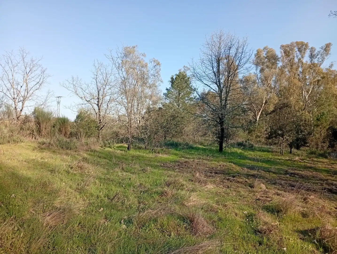 Terreni e lotti in vendita a Villanueva de la Vera, imagen 82