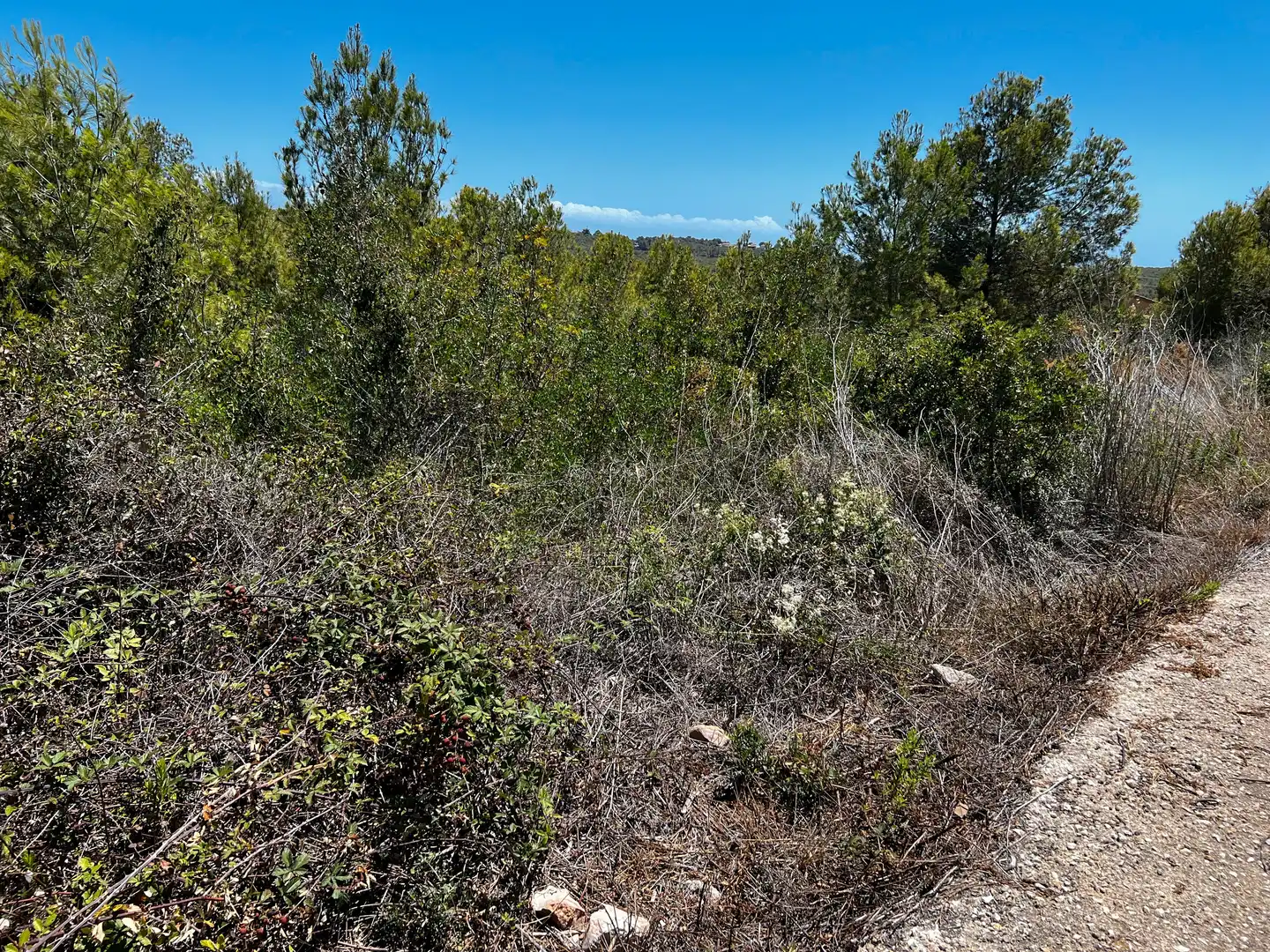 Residencial en venta en El Vendrell