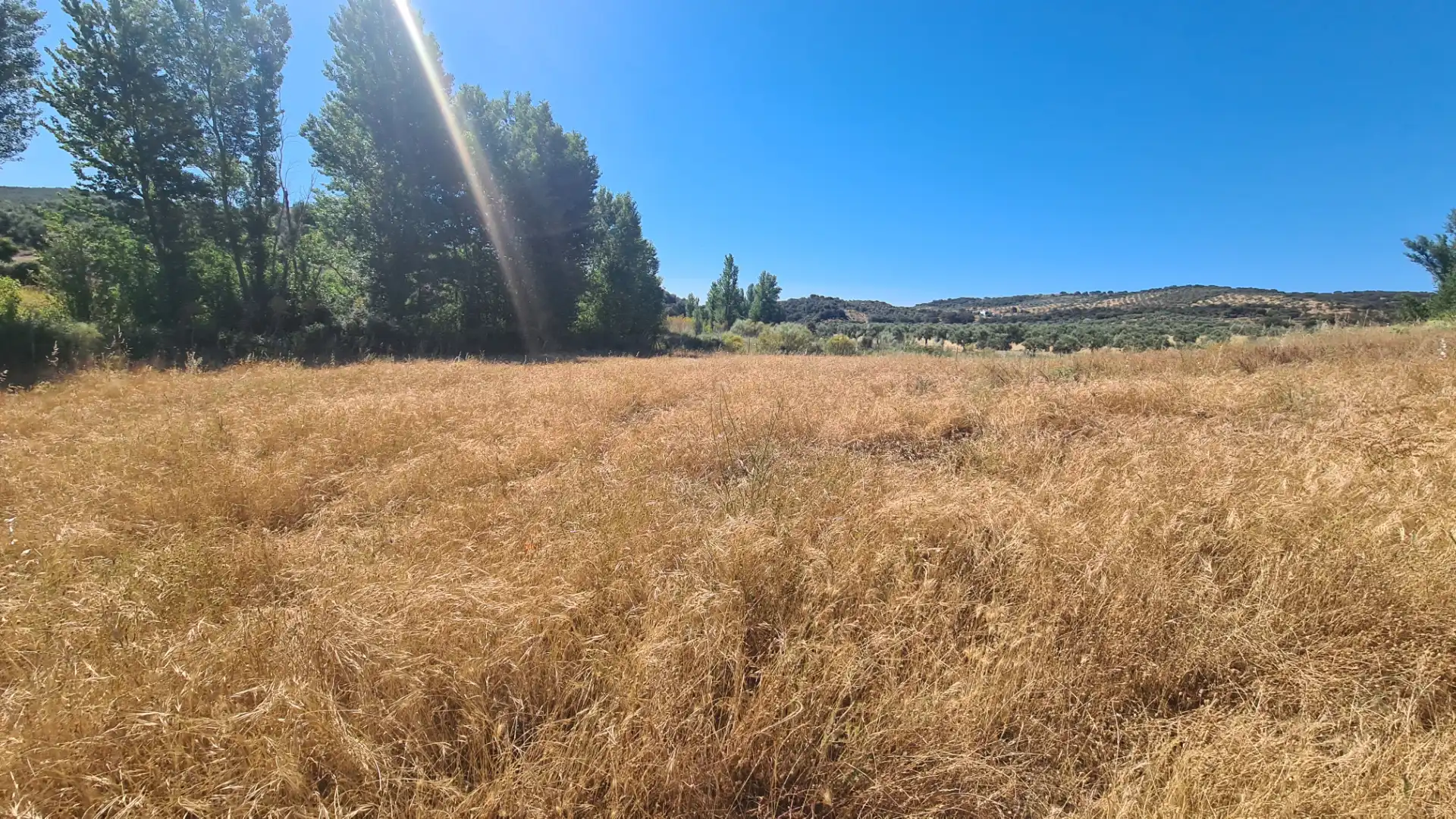 Terreno en venta en Malcocinado