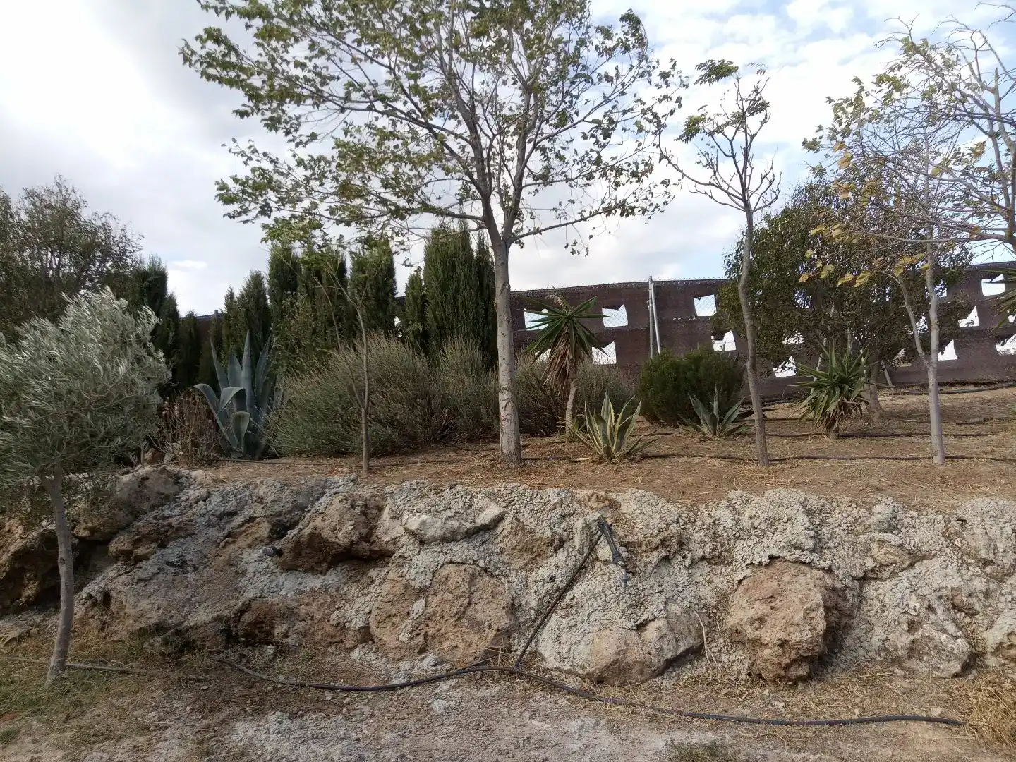 Vista exterior de Casa o chalet en venta en Cueva de Menga
