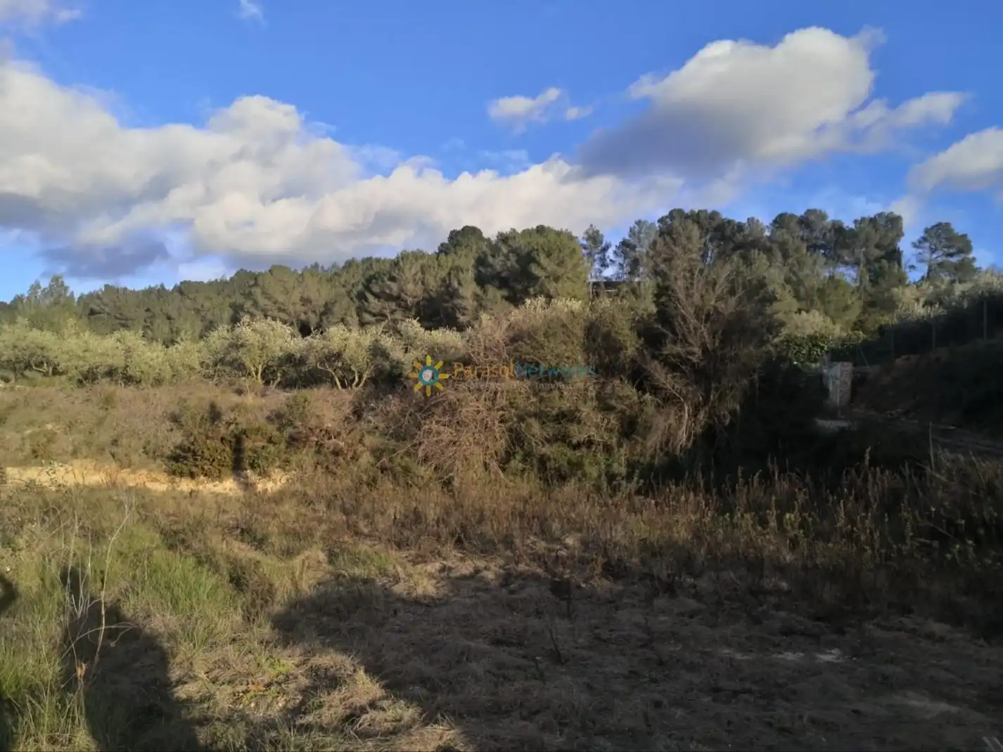 Rural land for sale in Benigànim, imagen 3