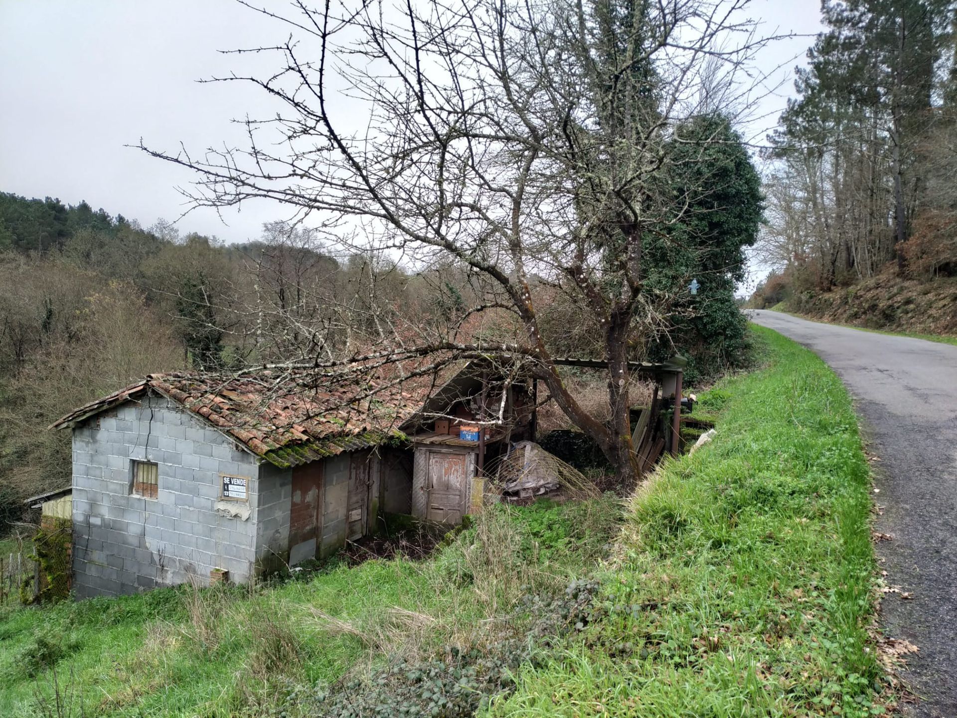 Residential zum Verkauf in Chantada
