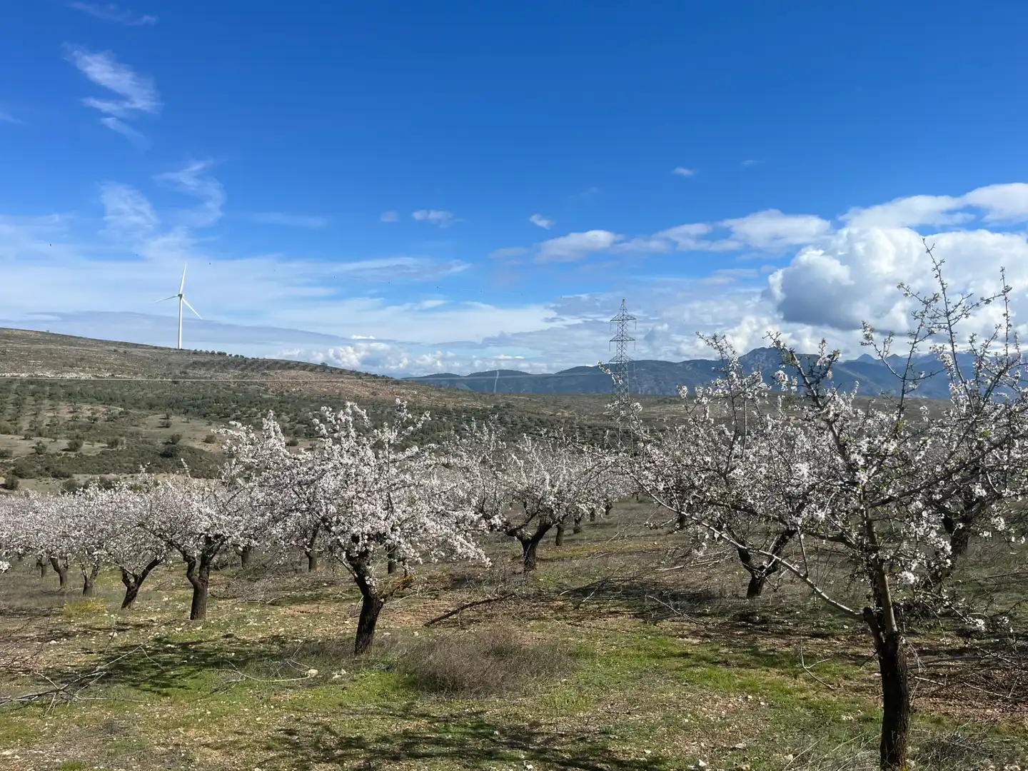 Rustikales Grundstück zum Verkauf in Camino de la Sierra