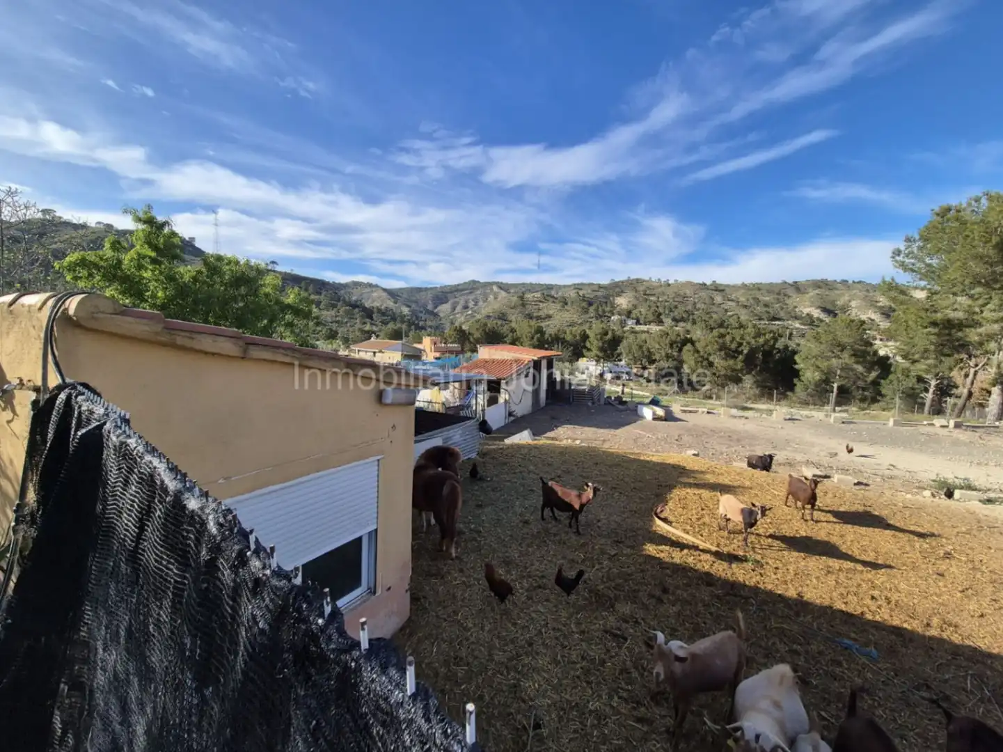 Vista exterior de Casa o xalet en venda en Càrcer amb Terrassa
