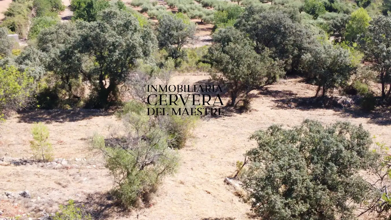 Terreno rustico in vendita a Cervera del Maestre, imagen 7
