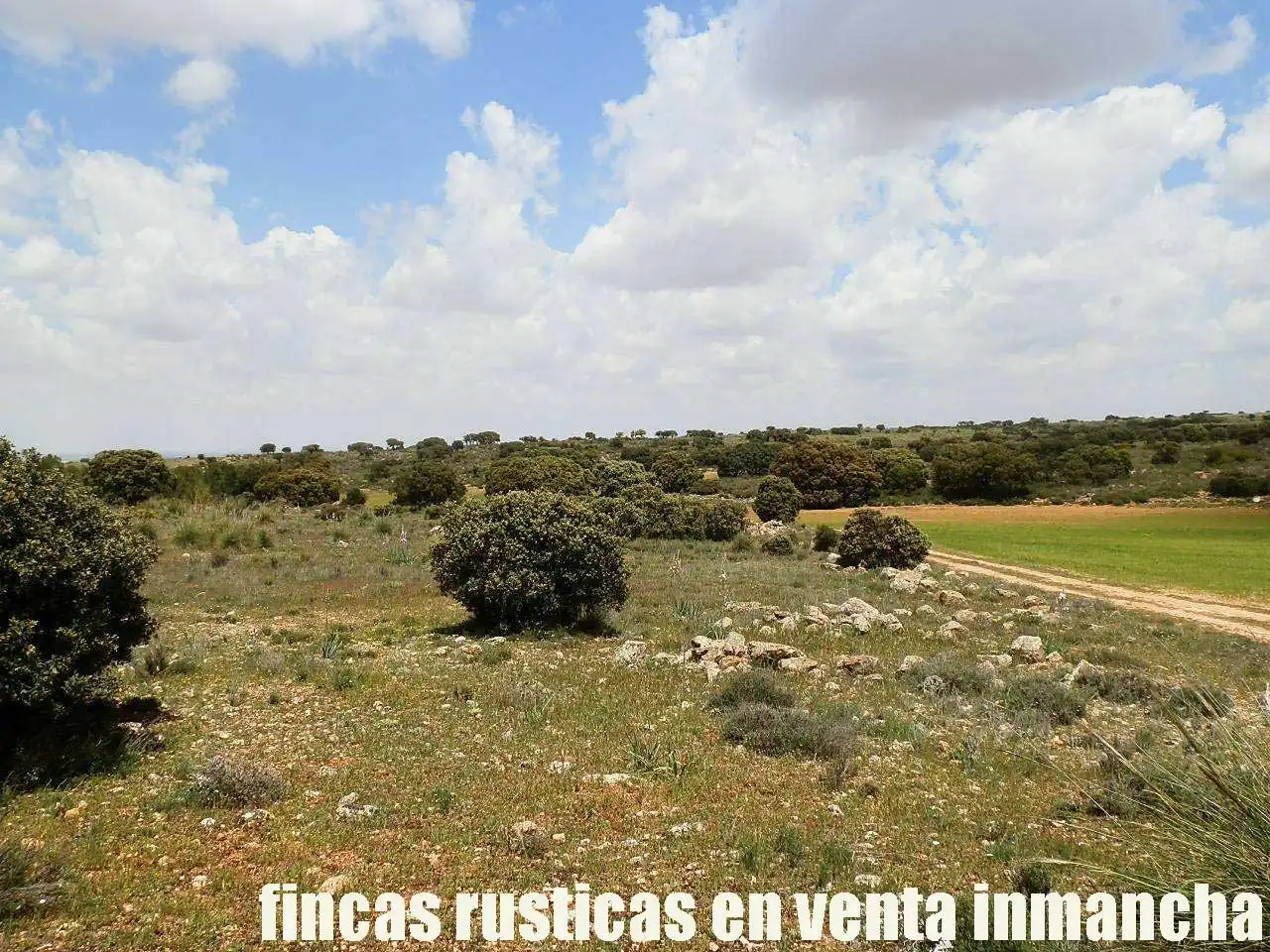 Terreno rustico in vendita a Ruidera, imagen 12