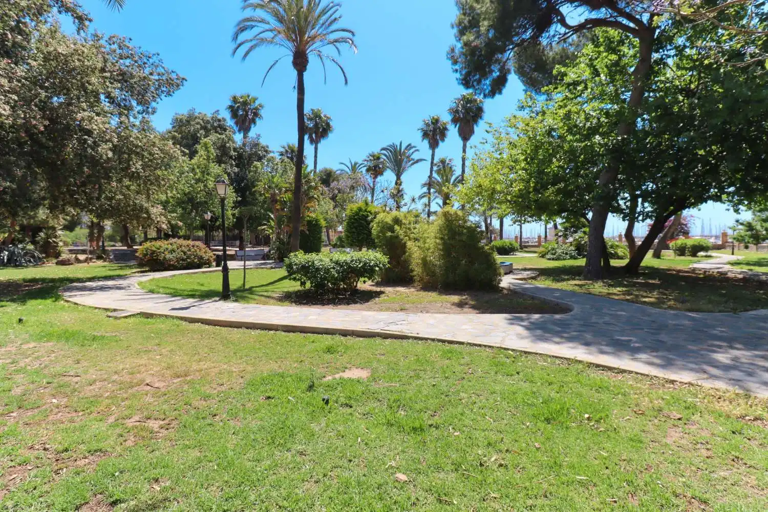 Jardí de Local en venda en Torrevieja