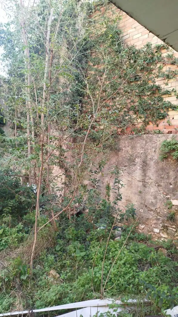 Edifici en venda a L'Olleria