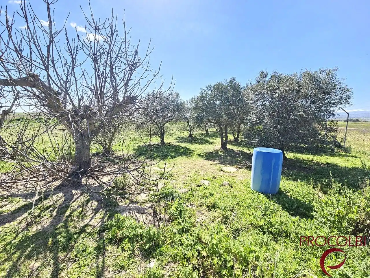 Terreno en venta en Valdeolmos-Alalpardo