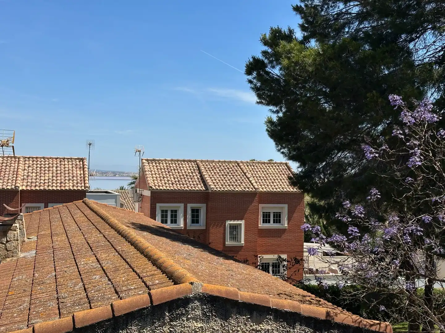 Exterior view of Houses for sale in Torrevieja  with Private garden, Terrace and Swimming Pool