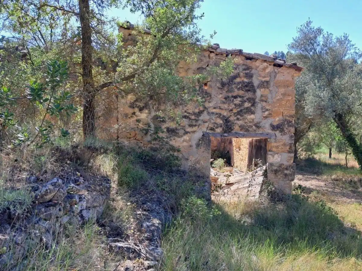 Terreni e lotti in vendita a Cretas, imagen 3