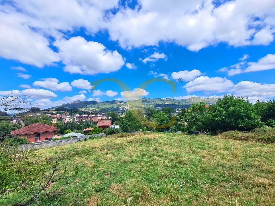 Terreny residencial en venda a El Monticu de Olivares, imagen 4