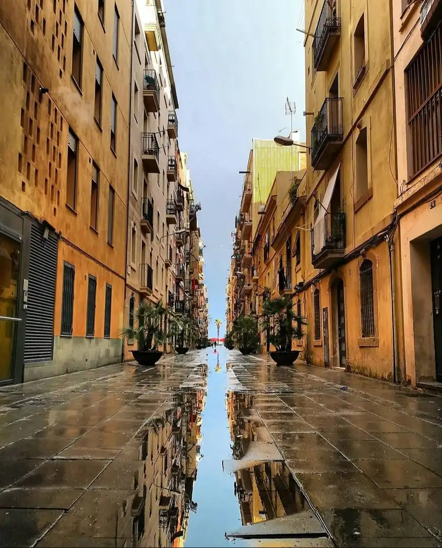 Àtic en venda a Santa Lluisa de Marillac, imagen 29