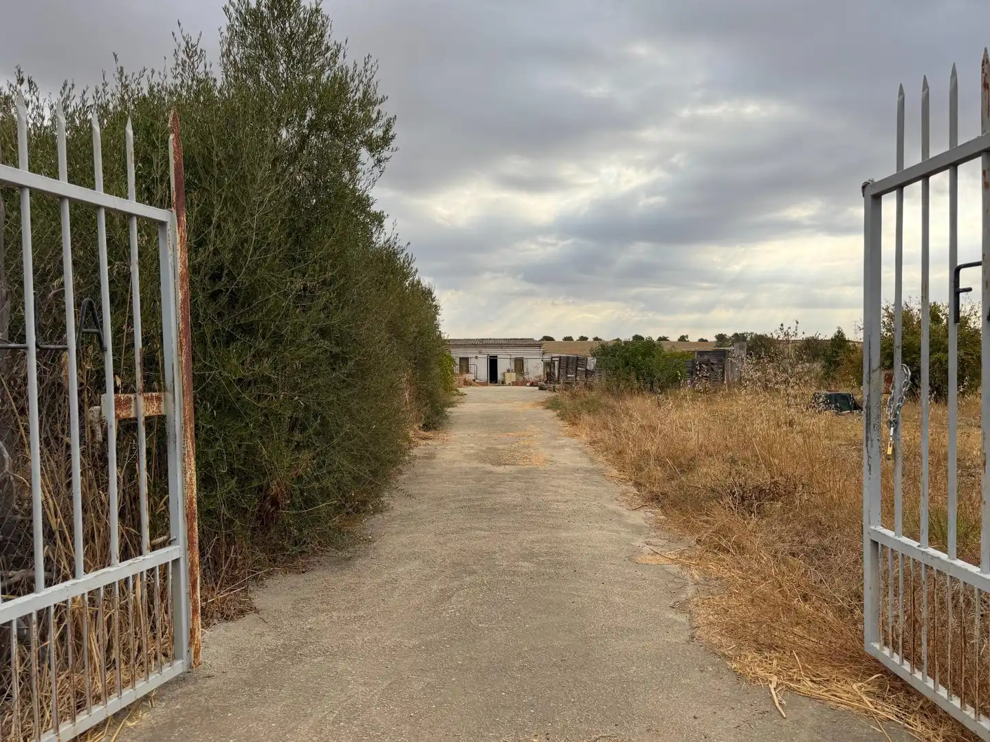Country homes for sale in Trigueros, Huelva