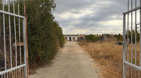 Foto 4 de Finca rústica en venta en Carretera Villar el, 4, Trigueros, Huelva