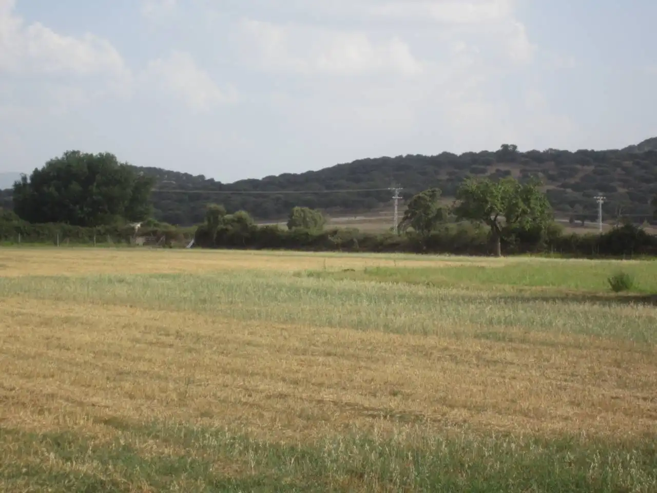 Terreno rustico in vendita a Calle RONDA DEL MEDIODIA, imagen 21