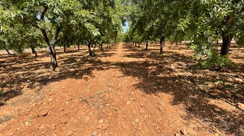 Photo 4 of Country house for sale in Torreblanca, Castellón