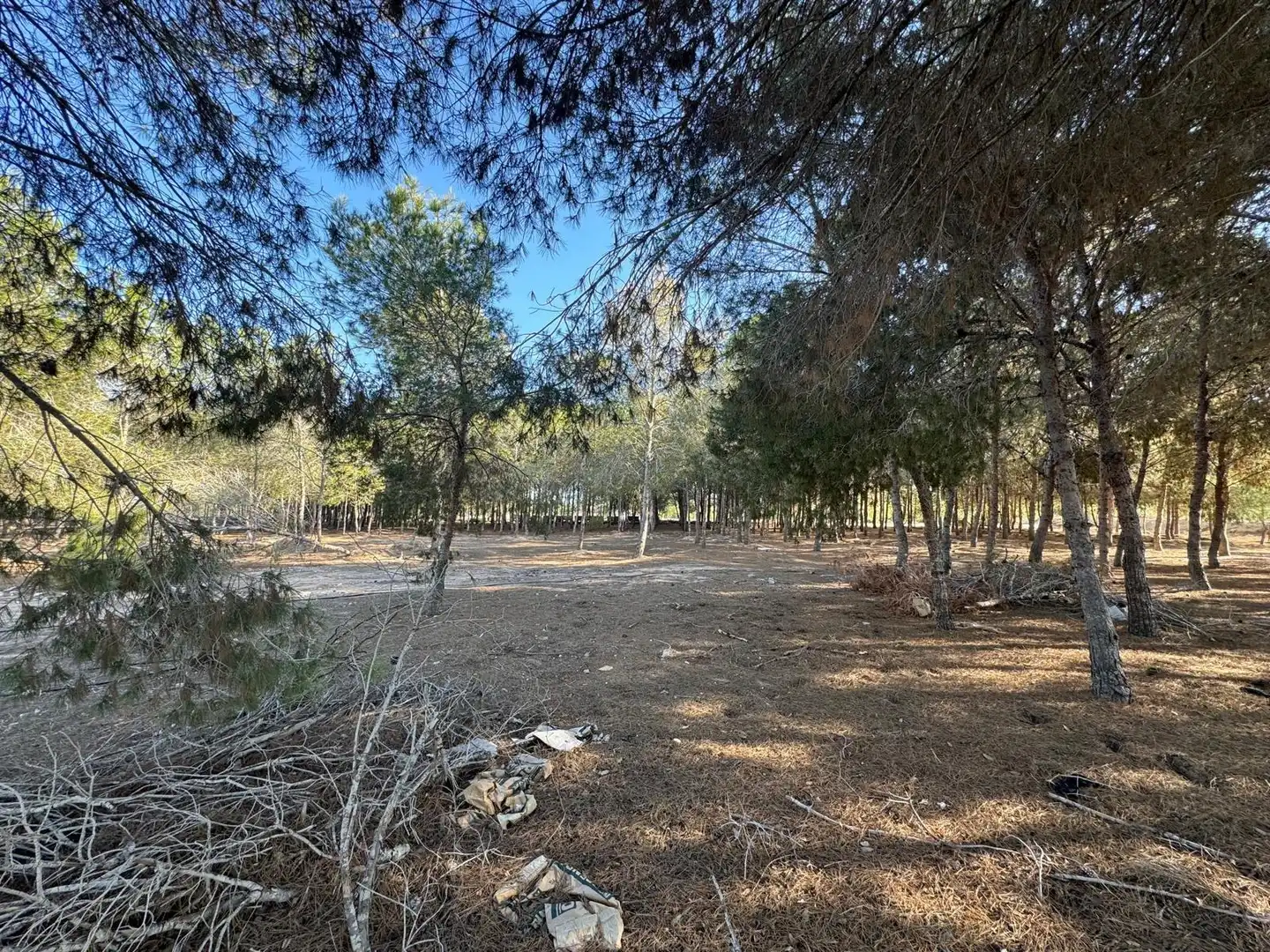 Villa à vendre à Partida Polígono 62 Parcela 80 DAIMES. ELCHE/ELX (ALICANT 62, imagen 26