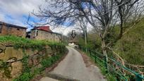 Exterior view of House or chalet for sale in Camaleño