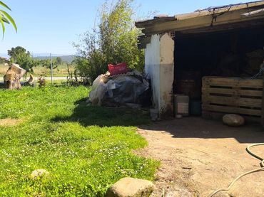 House with garden for sale in Entrena