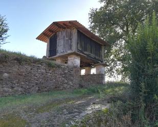 Außenansicht von Country house zum verkauf in O Pino 