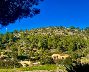 Vista exterior de Finca rústica en venda en Andratx amb Terrassa i Traster