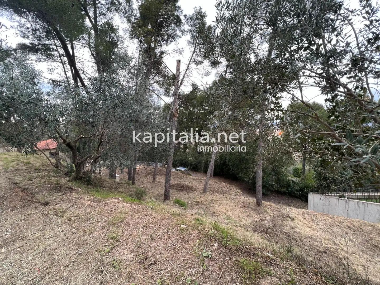 Terreni e lotti in vendita a Agullent, imagen 5