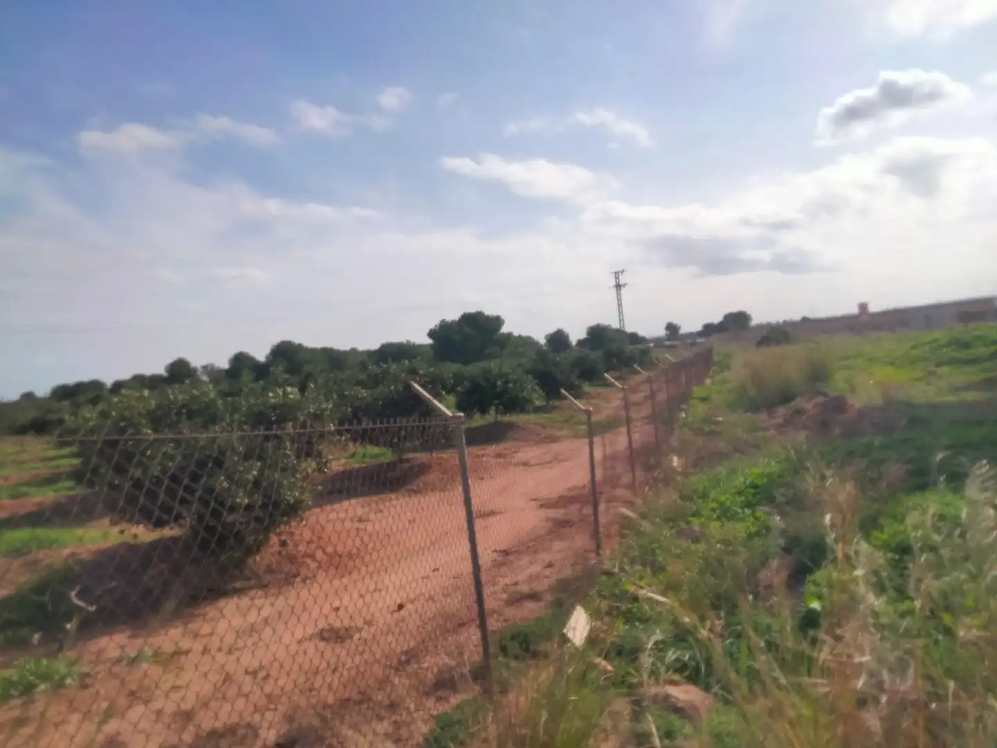 Terreno rustico in vendita a Los Pinares - La Masia, imagen 7