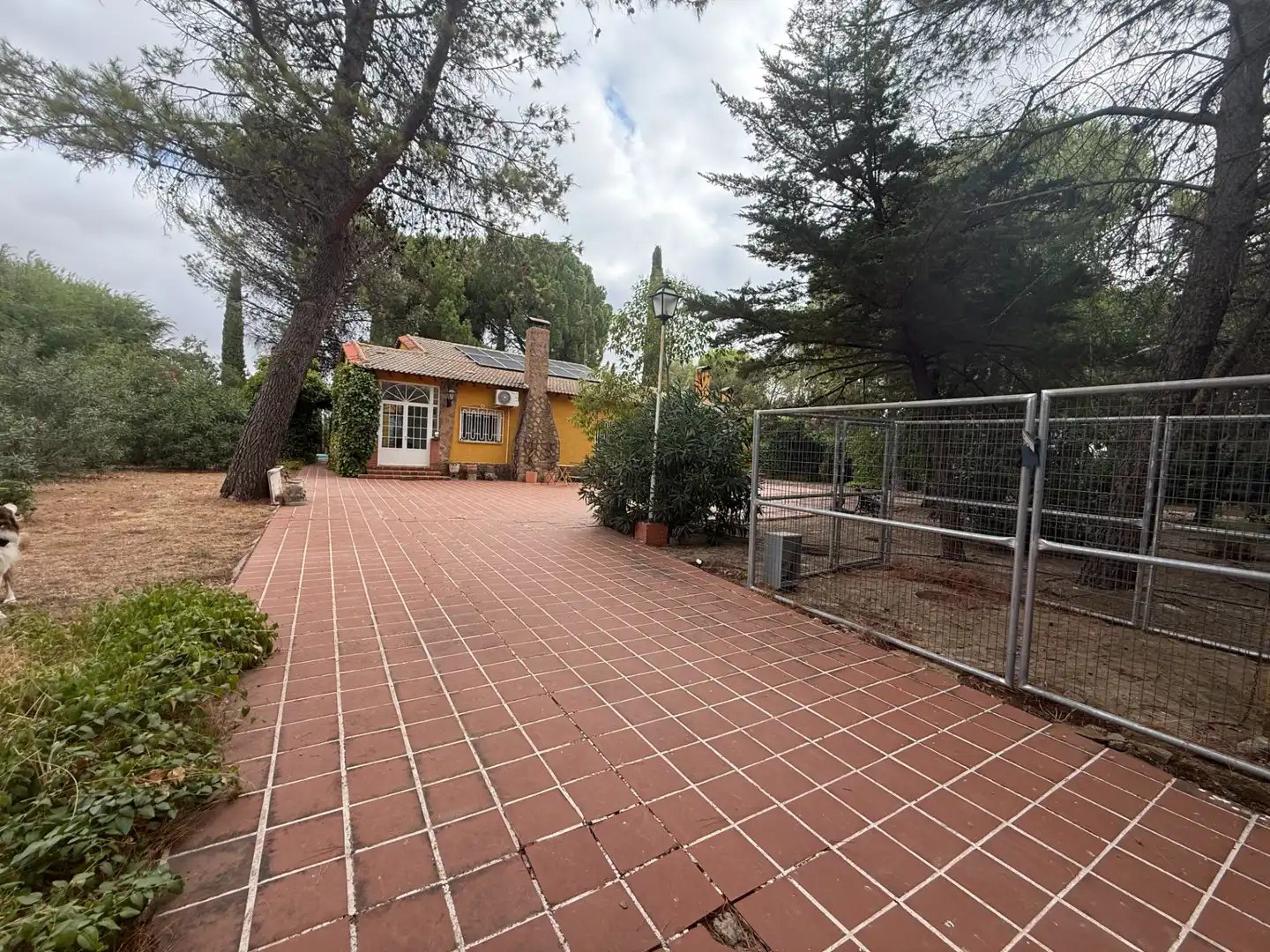 Vista exterior de Casa o chalet en venta en Poblete con Aire acondicionado, Jardín privado y Piscina