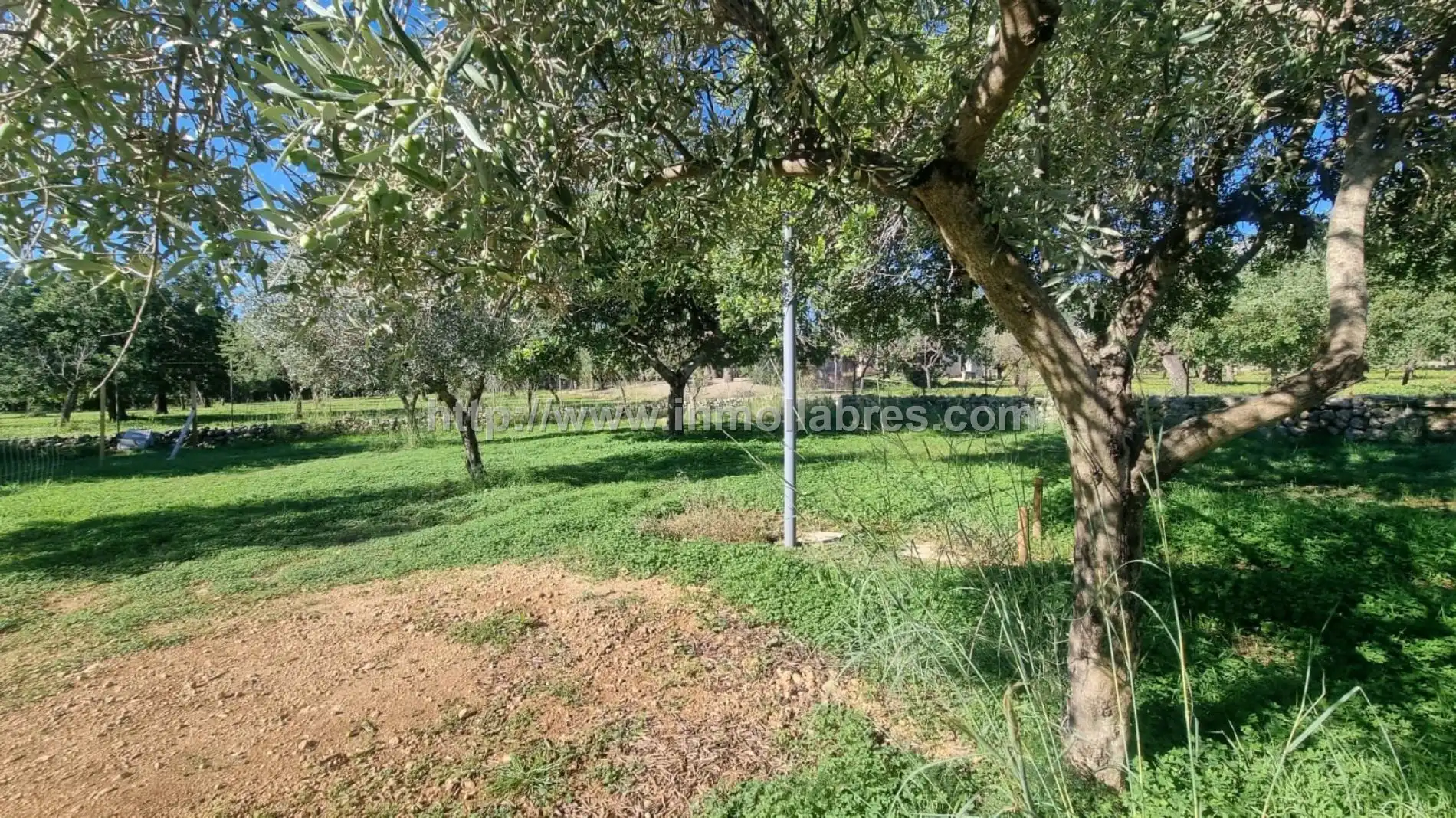 Casa rustica in vendita a Selva, imagen 20