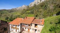 Vista exterior de Casa o xalet en venda en Lamasón amb Jardí privat