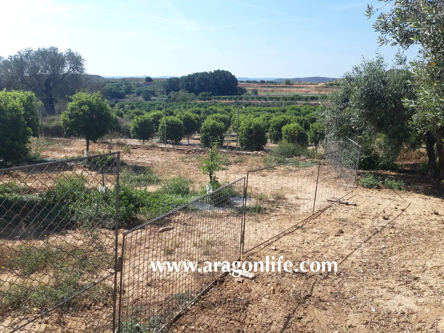 Finca rústica en venta en Caspe con Amueblado