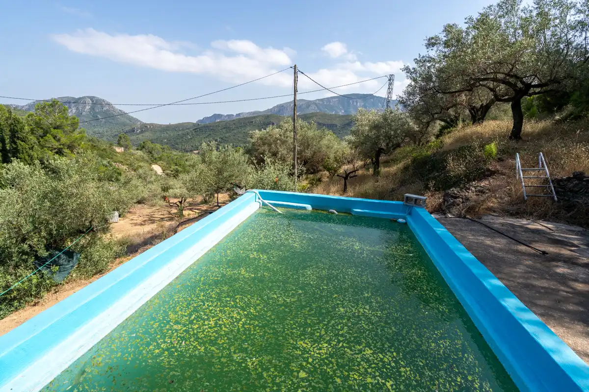 Finca rústica en venda a Carrer de Dalt, 3, Alfara de Carles