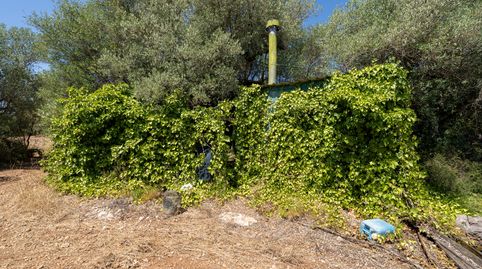 Foto 4 de Terreno en venta en N/a, -1, Mas de Barberans, Tarragona