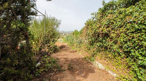Foto 4 de Terreno en venta en Campo de Golf - Agua García - Juan Fernández, Tacoronte