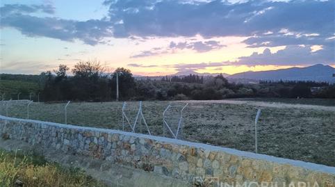 Foto 3 de Finca rústica de lloguer a Pinos de Alhaurín, Alhaurín de la Torre