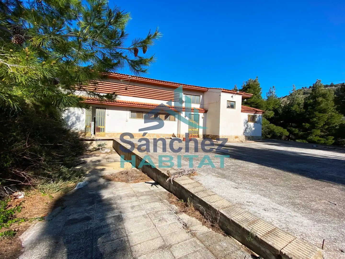 Exterior view of Industrial buildings for sale in Chelva