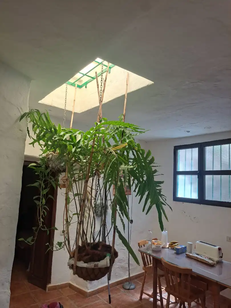 Jardín de Casa o chalet en venta en San Bartolomé de Tirajana con Jardín privado, Terraza y Trastero