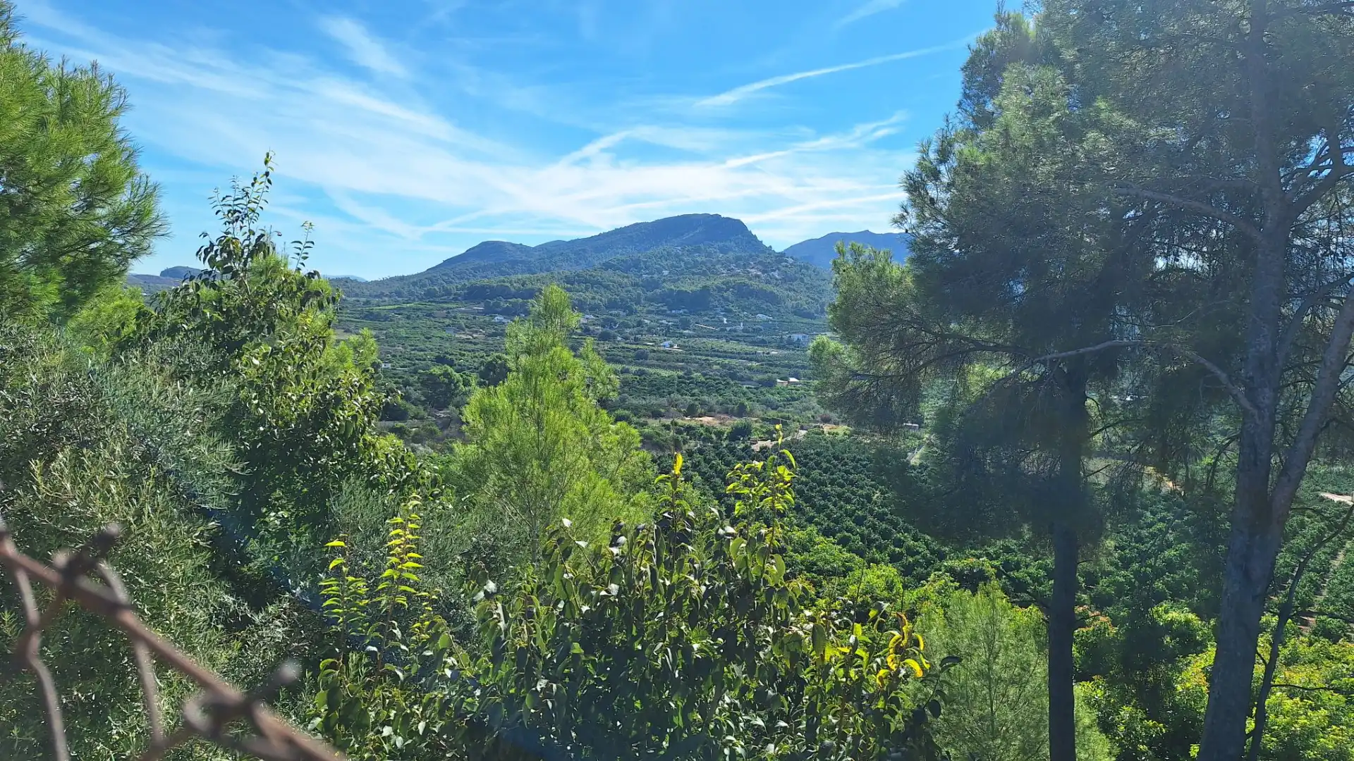Residential land for sale in Carrer del Tallat Roig, imagen 9