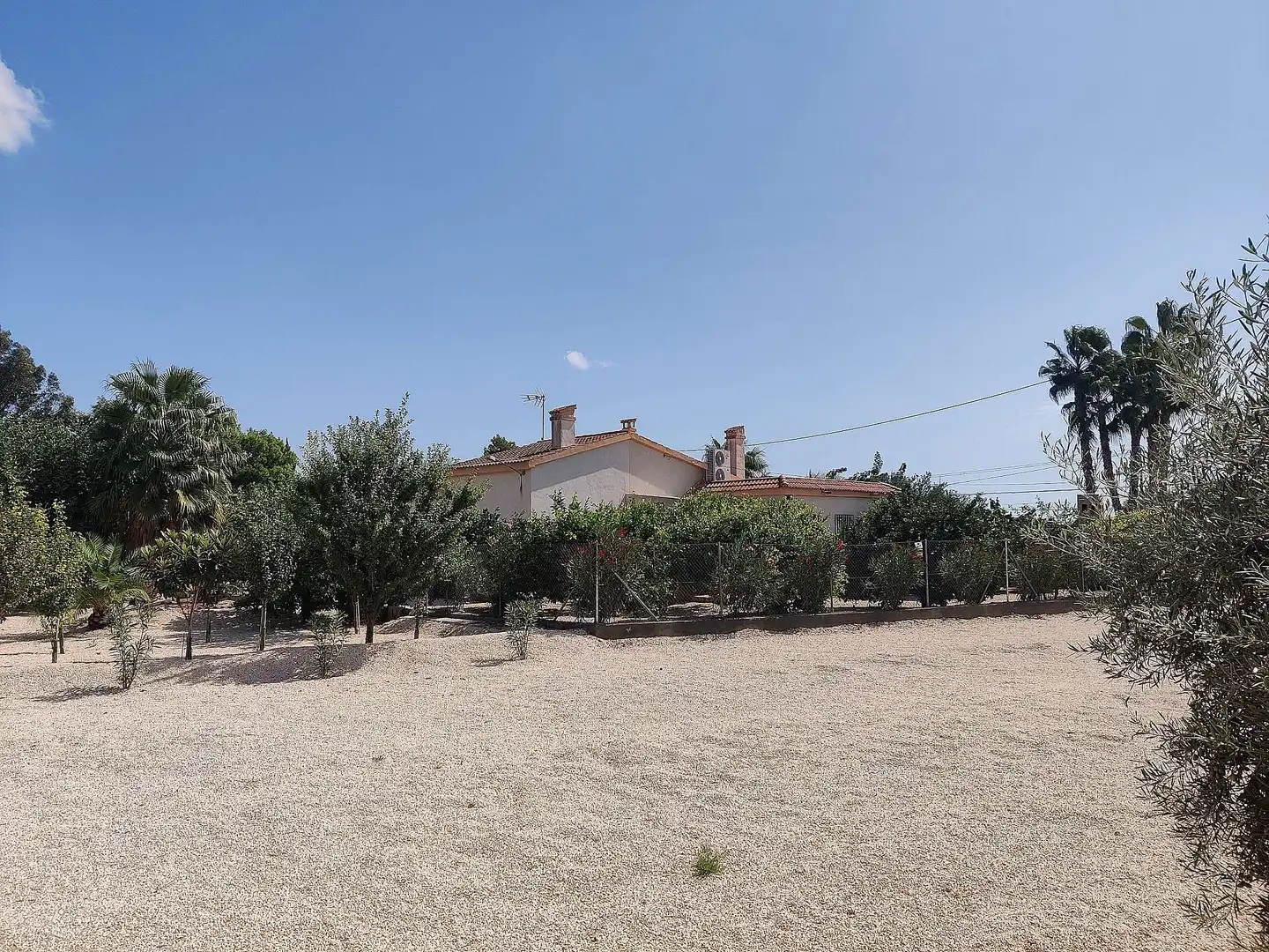Villa à vendre à Crevillent, imagen 9