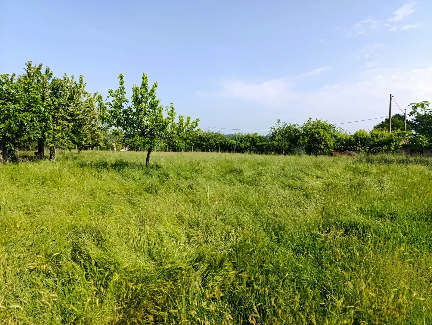 Casa o chalet en venta en O Saviñao  con Jardín privado, Amueblado y Balcón