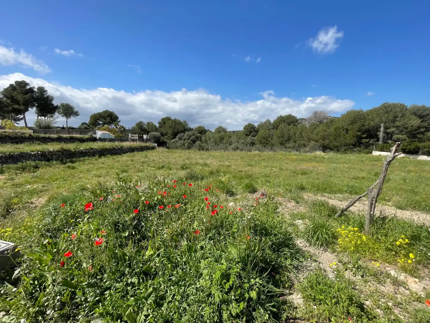 Country homes for sale in Cap Martí - El Tossalet - Pinomar