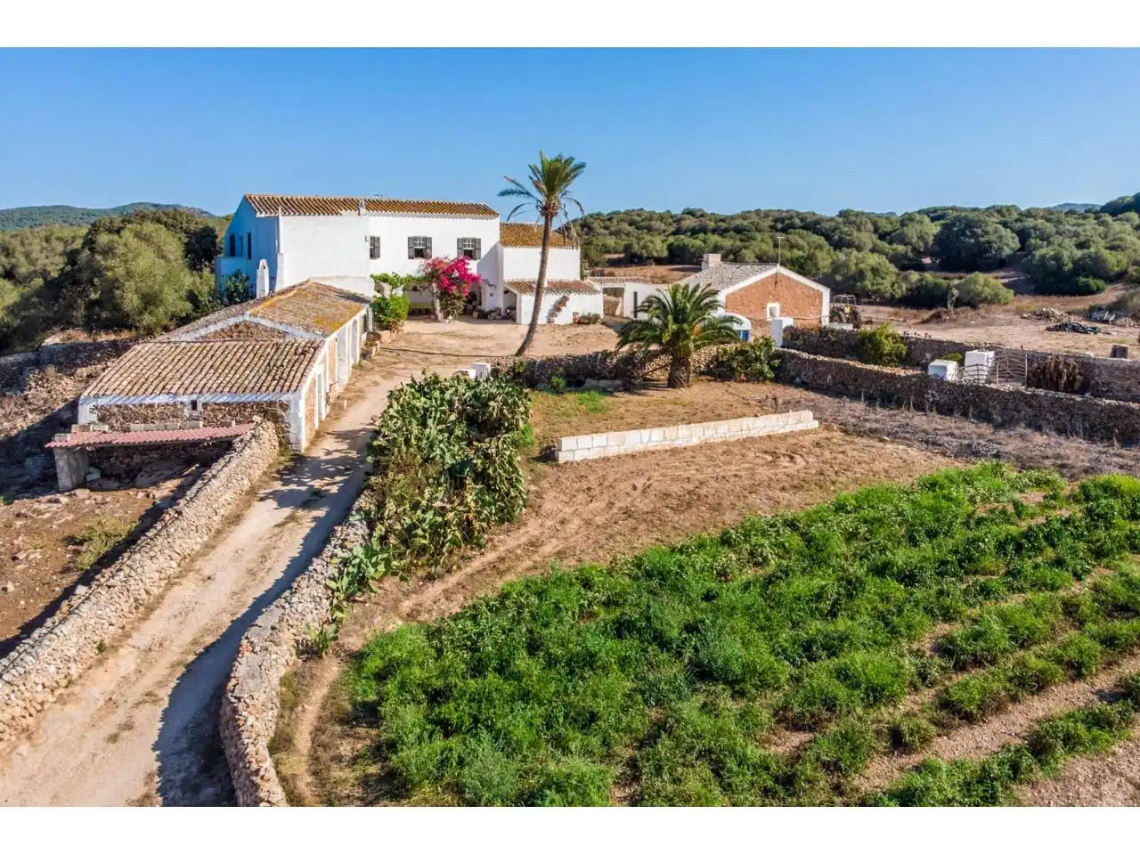 Rural land for sale in Ciutadella, imagen 2
