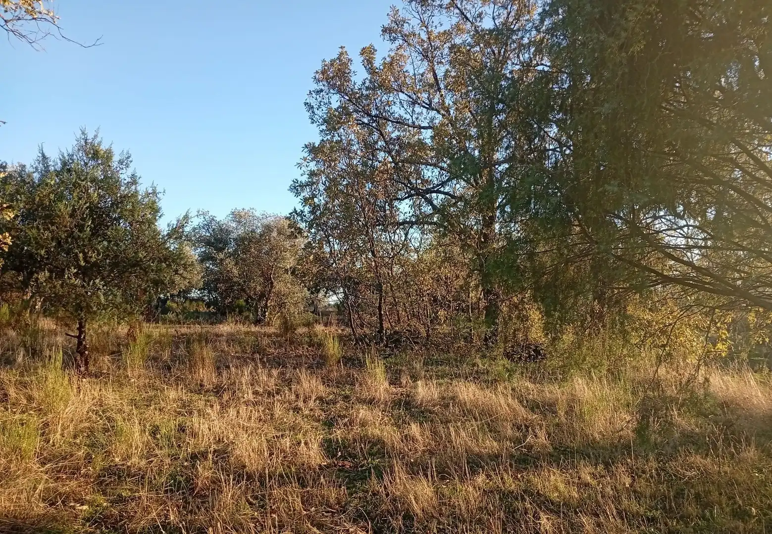 Terreni e lotti in vendita a Viandar de la Vera, imagen 34