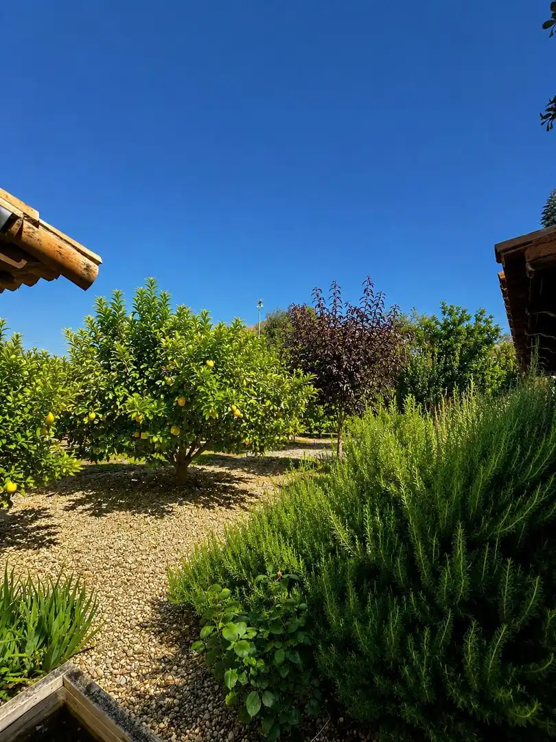 Jardí de Casa o xalet en venda en San Miguel de Abona amb Jardí privat, Traster i Piscina