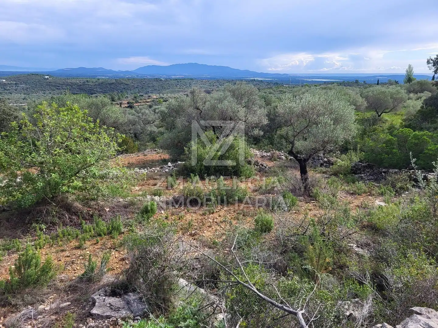 Casa rústica en venta en Traiguera, imagen 5