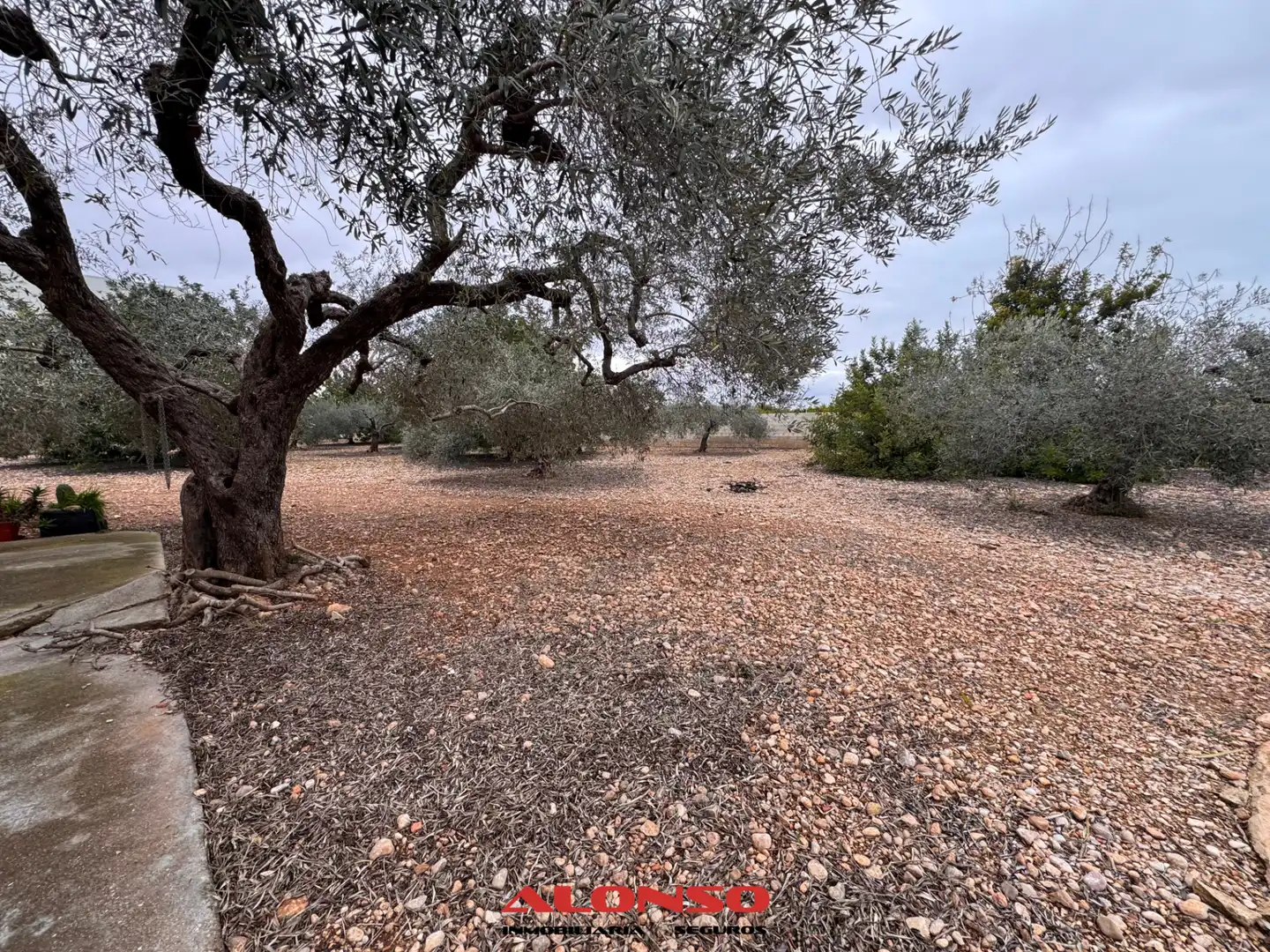 Houses for sale in Vinaròs  with Heating, Private garden and Terrace