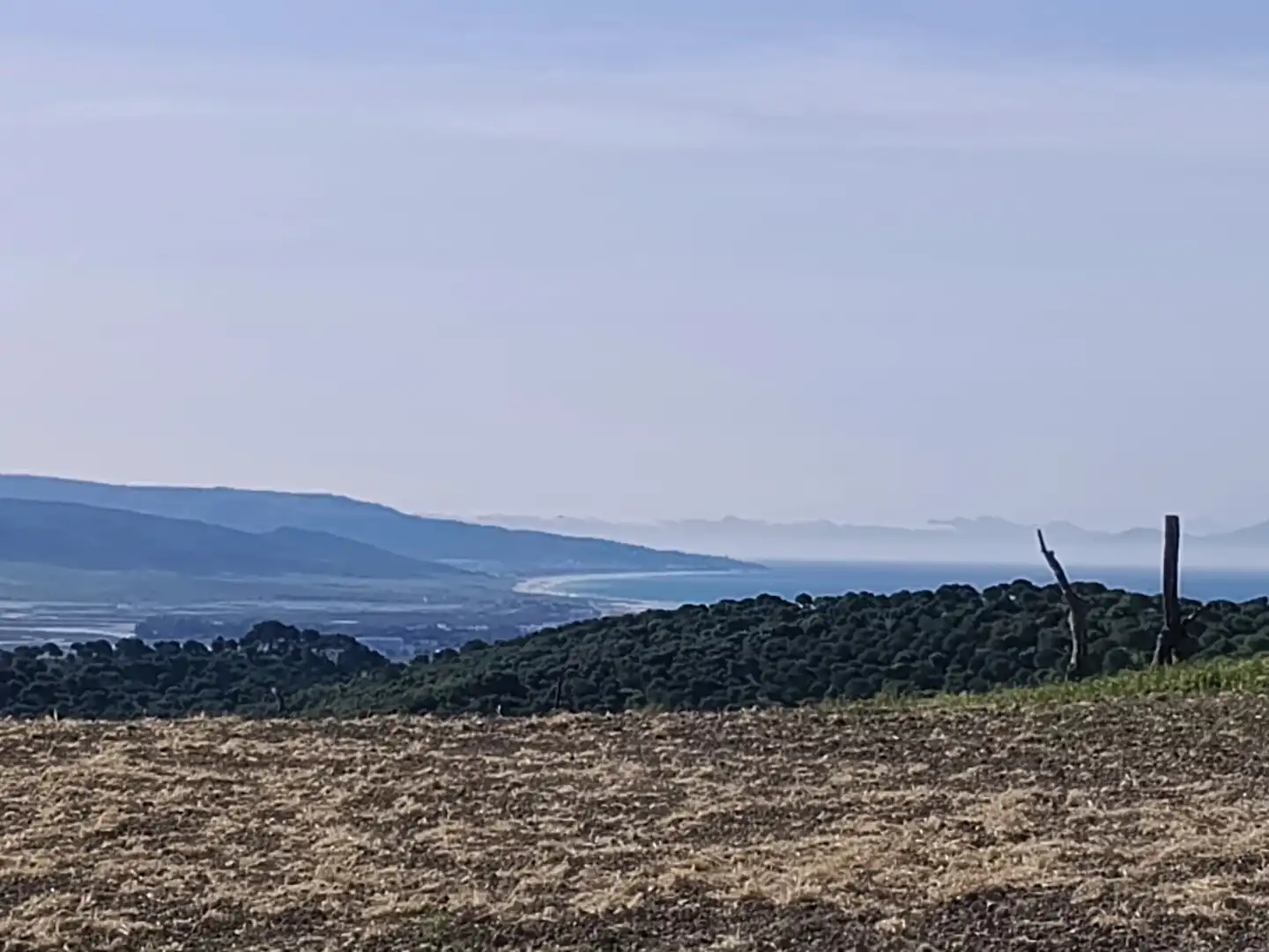 Land for sale in Vejer de la Frontera