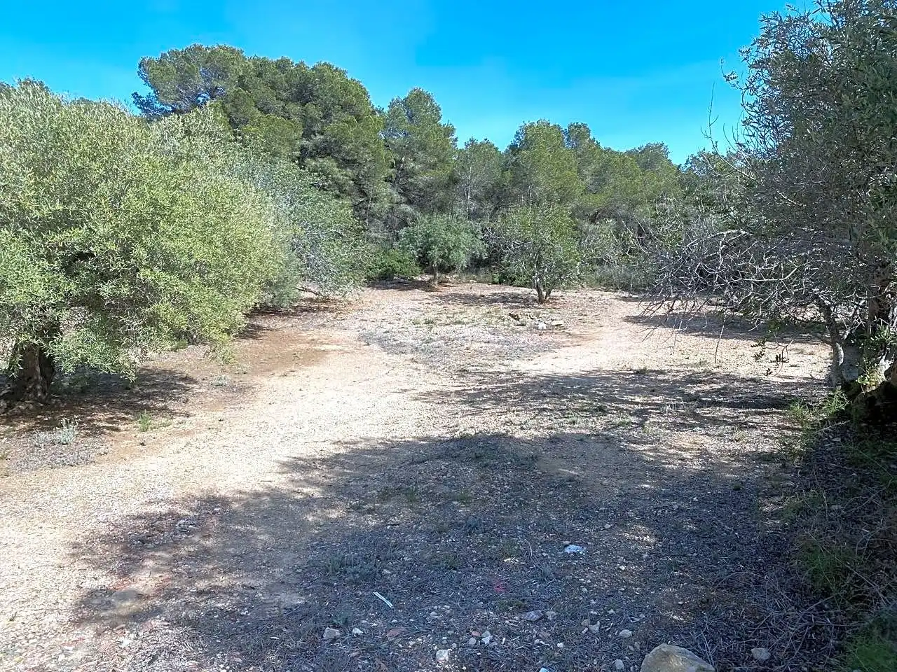 Terreno rustico in vendita a Puig Moltó, imagen 20